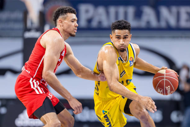 能凭借零星 能凭借零星